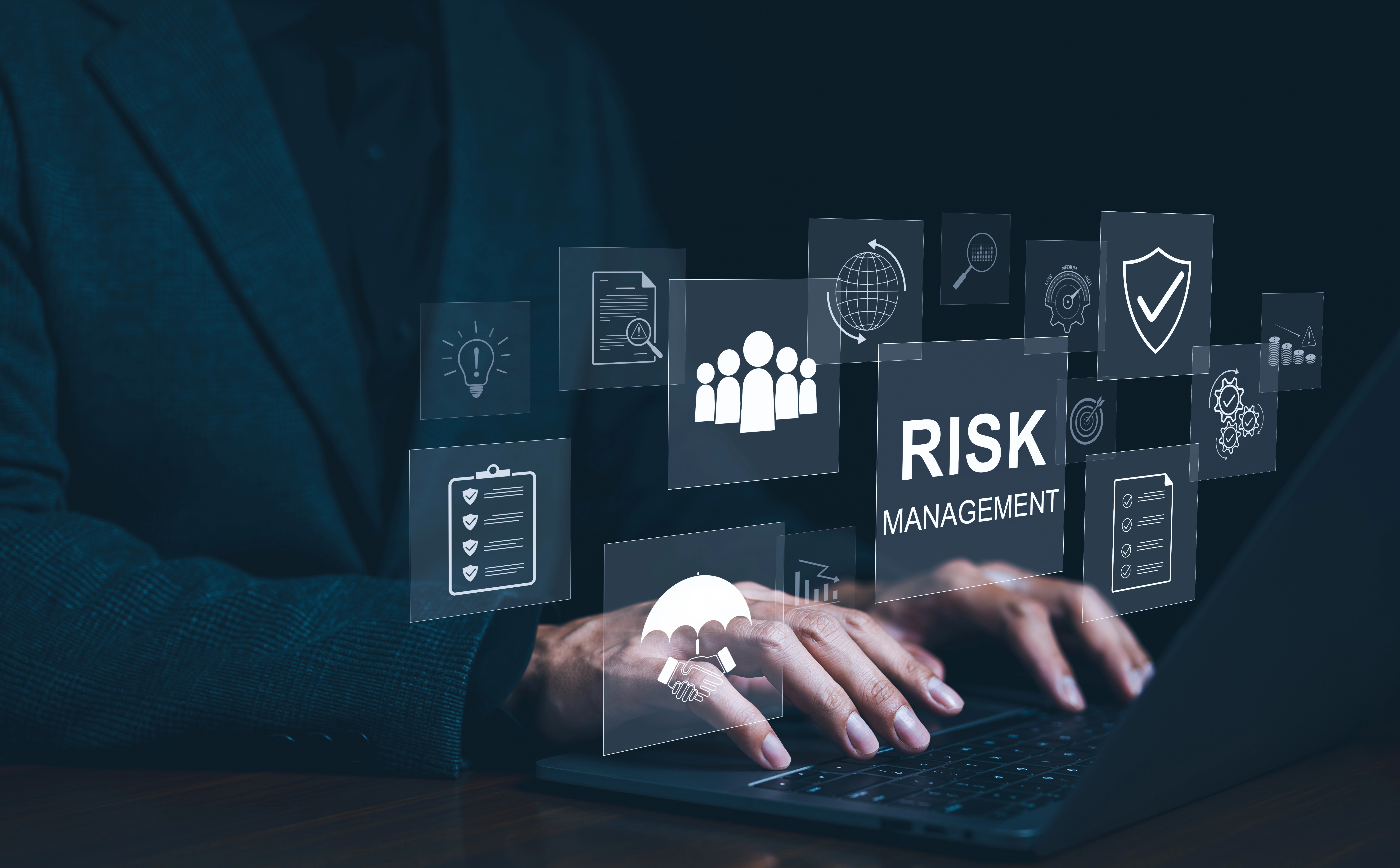 Project support and independent audit
